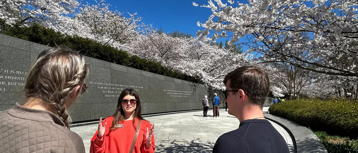 The MLK Memorial showcases the beautiful blossoms 