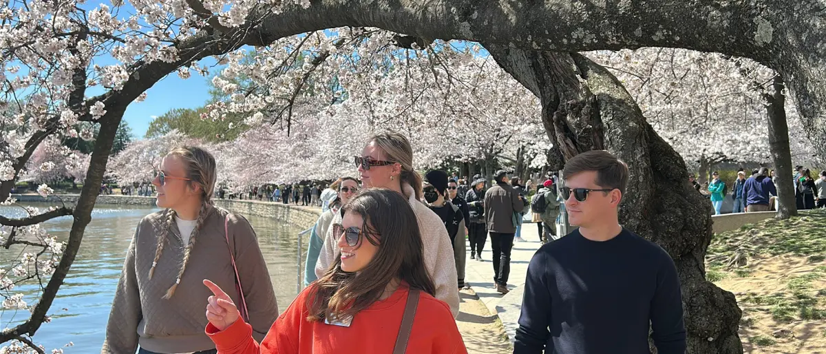Visitors on a private tour with DC by Foot